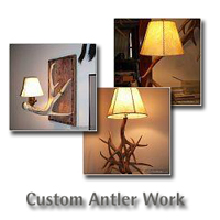 View Custom Antlers